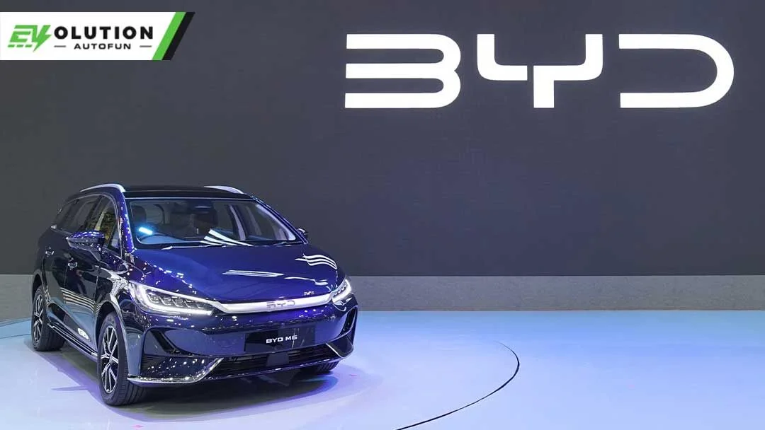 Penjualan Melejit, BYD M6 Siap Geser Dominasi Dolphin dan Atto 3!
